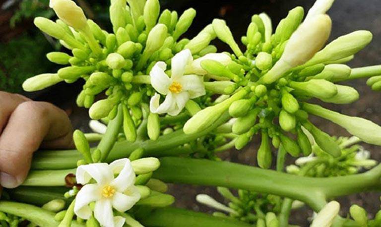 Hoa đu đủ đực tươi