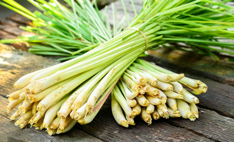 Sả